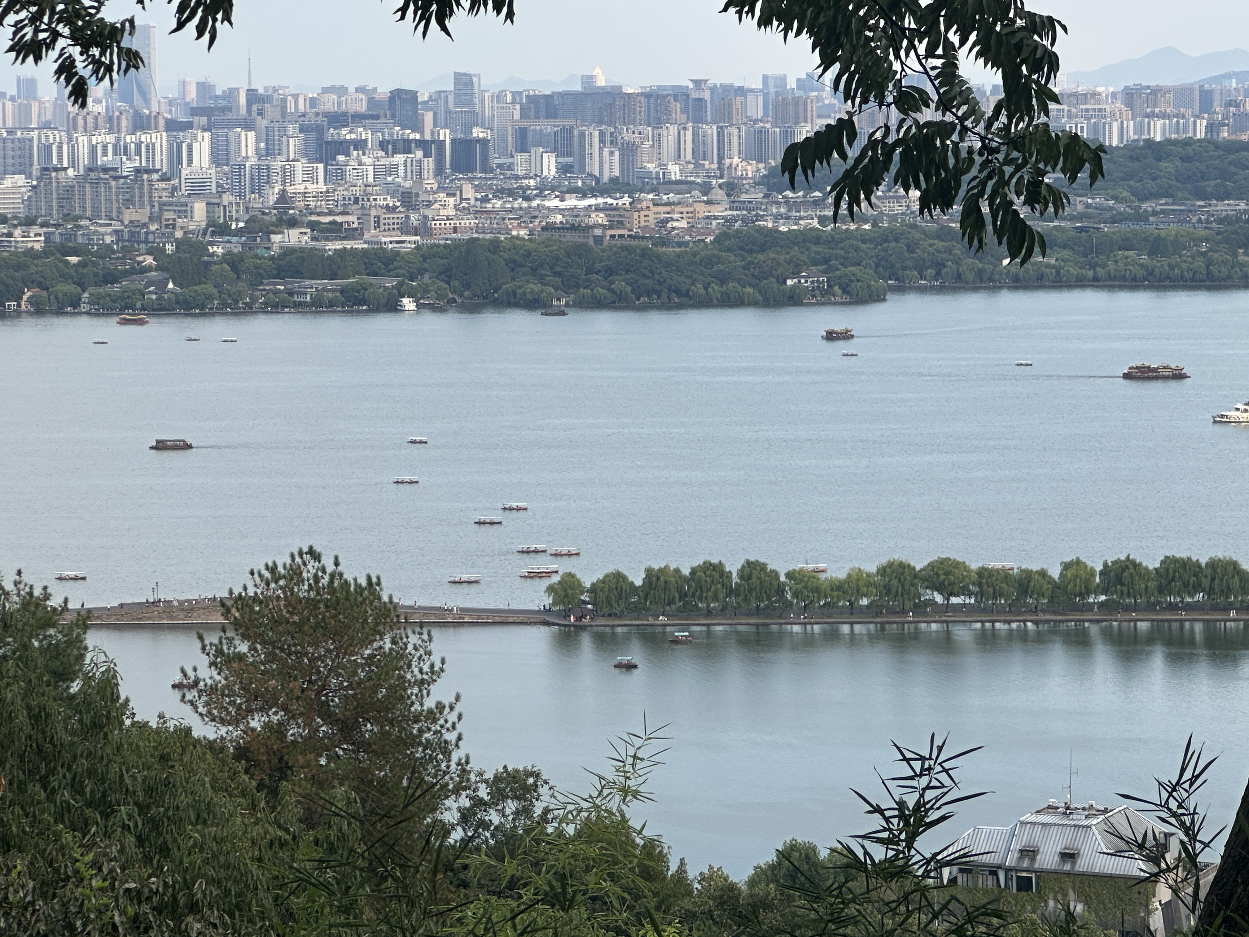 Panoramic View